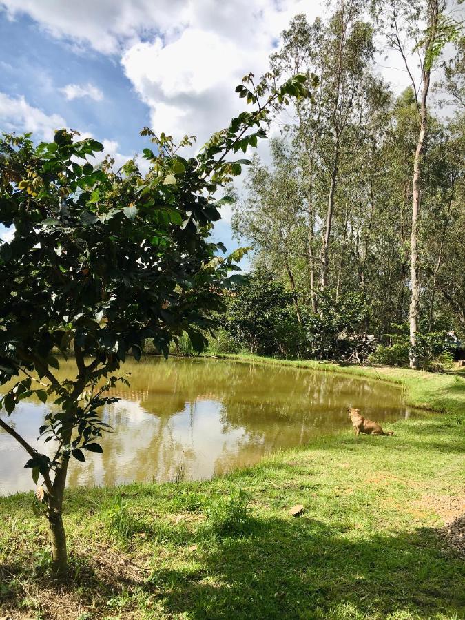 Clavellino House En Villa De Leyva - Tranquilidad Y Naturaleza En Reserva Natural Urbana! Екстериор снимка