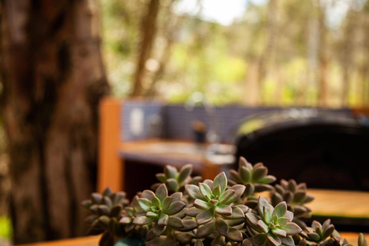 Clavellino House En Villa De Leyva - Tranquilidad Y Naturaleza En Reserva Natural Urbana! Екстериор снимка