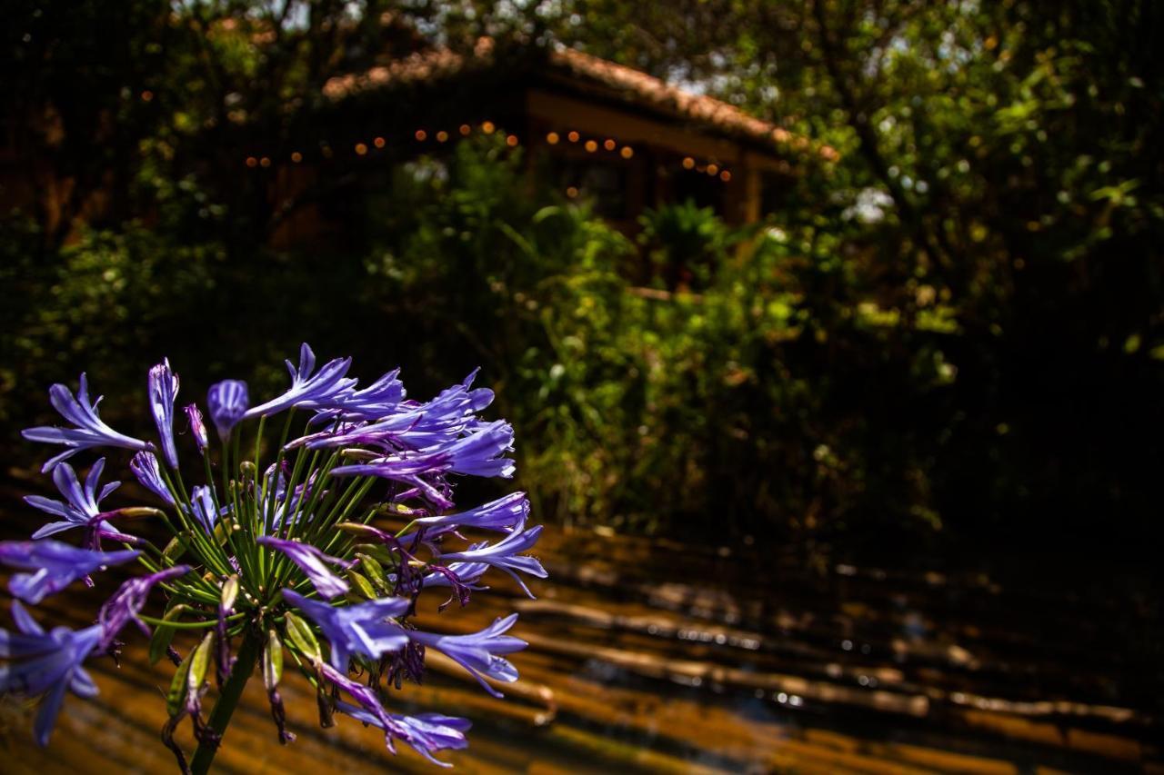 Clavellino House En Villa De Leyva - Tranquilidad Y Naturaleza En Reserva Natural Urbana! Екстериор снимка