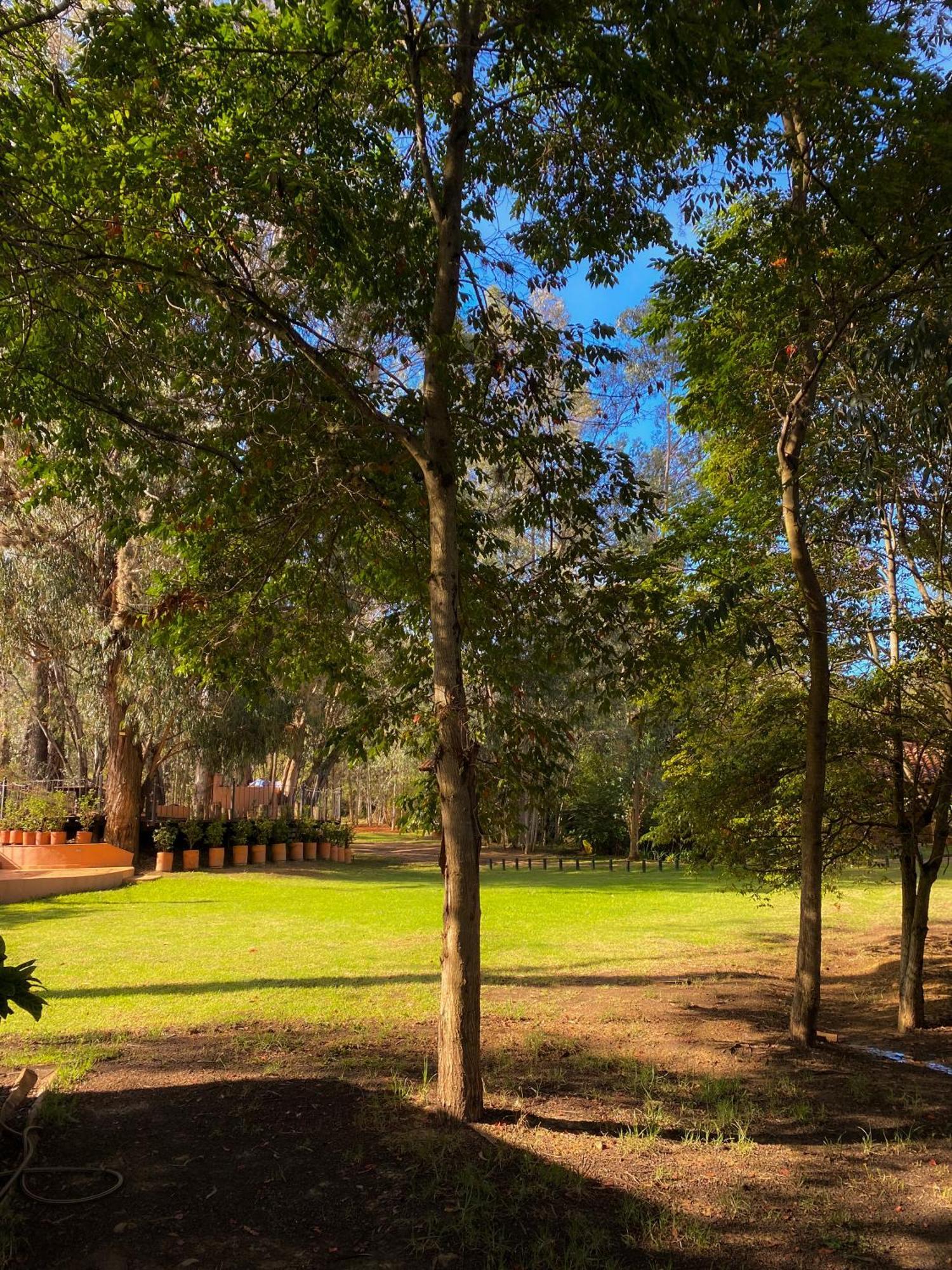 Clavellino House En Villa De Leyva - Tranquilidad Y Naturaleza En Reserva Natural Urbana! Екстериор снимка